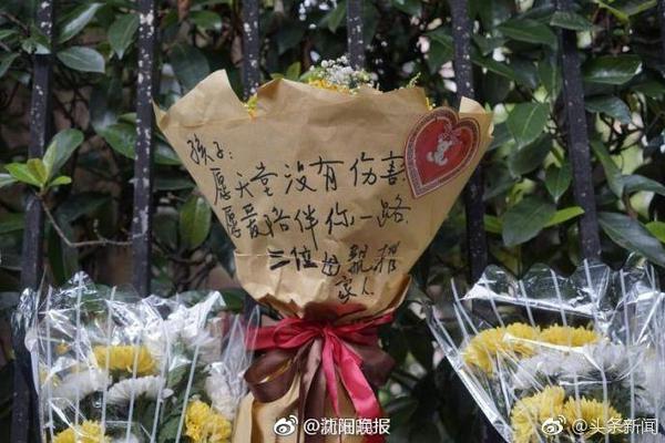 记者：伊萨克倾向于离队，奥蓬达和维萨是纽卡引援目标